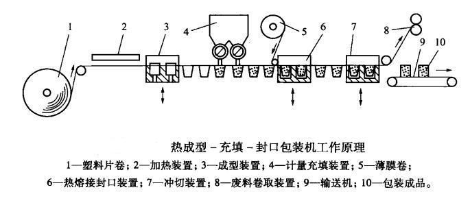 立式小型熱成型包裝機